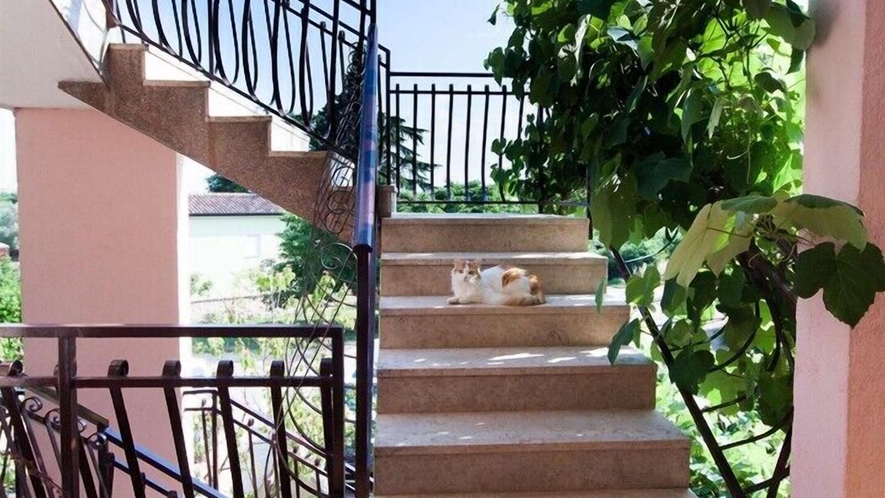 Photo of Outdoor in Monterol