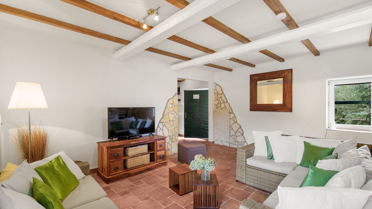 Photo of Livingroom in Stifanici