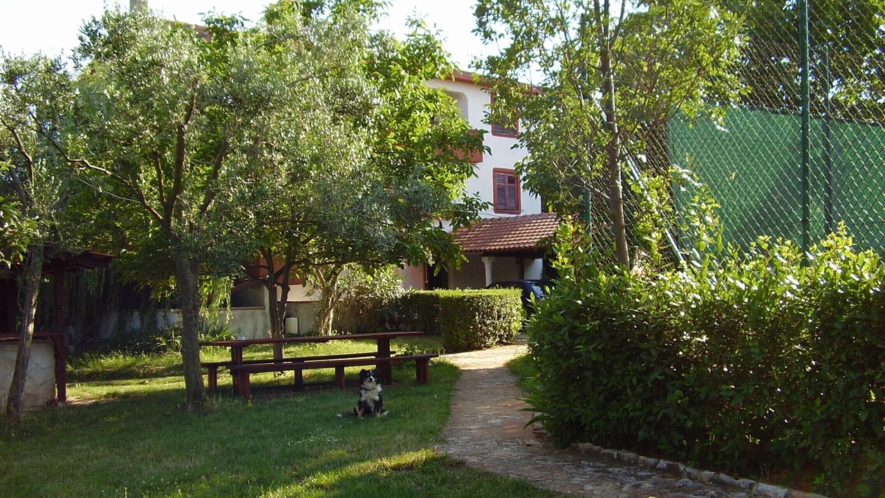 Photo of Outdoor in Liznjan