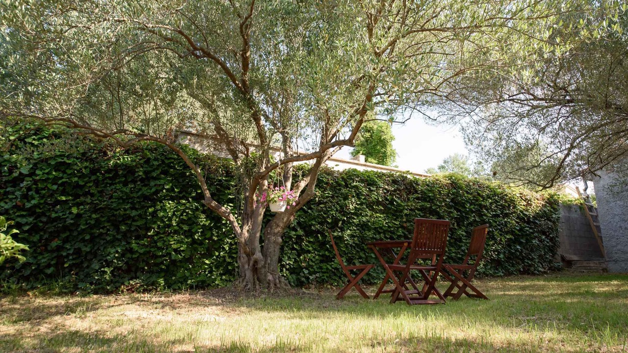 Photo of Outdoor in Kozino