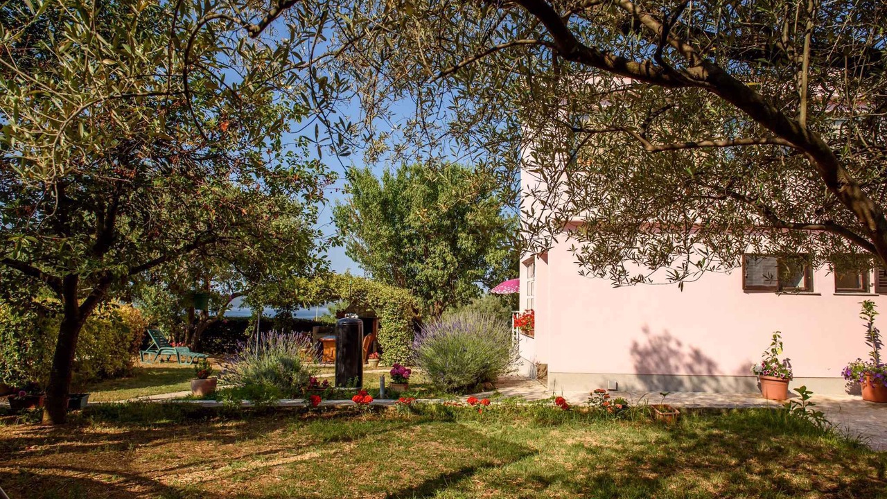 Photo of Outdoor in Kozino