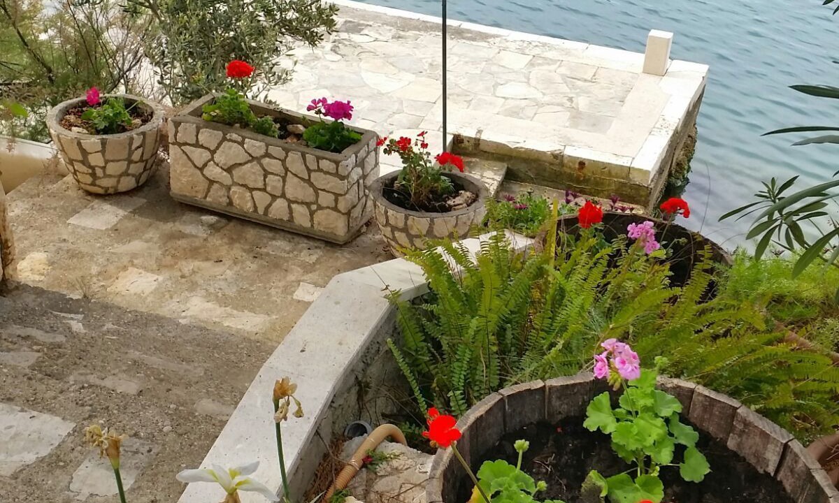 Photo of Outdoor in Klek