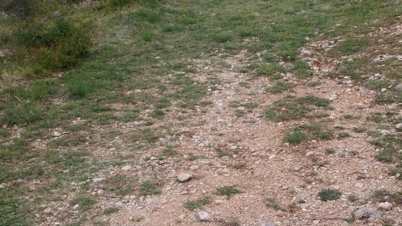 Photo of Others in Krusevo