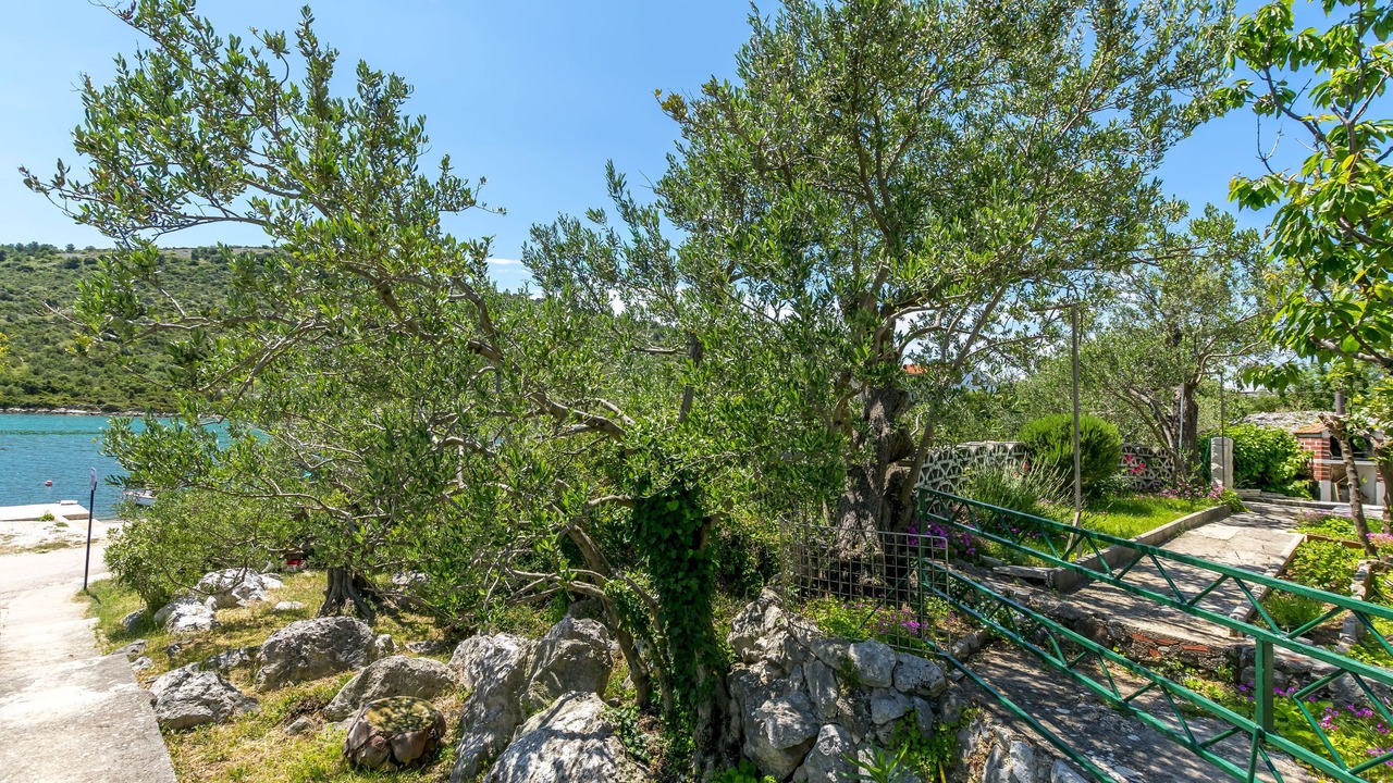 Photo of Outdoor in Podglavica