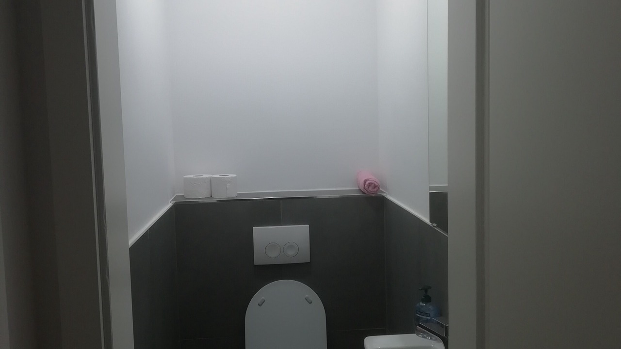 Photo of Bathroom in Radovljica