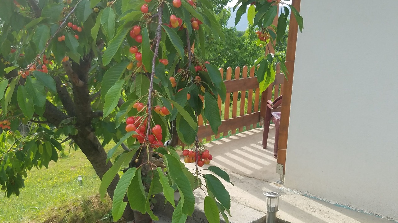 Photo of Outdoor in Gnojnice