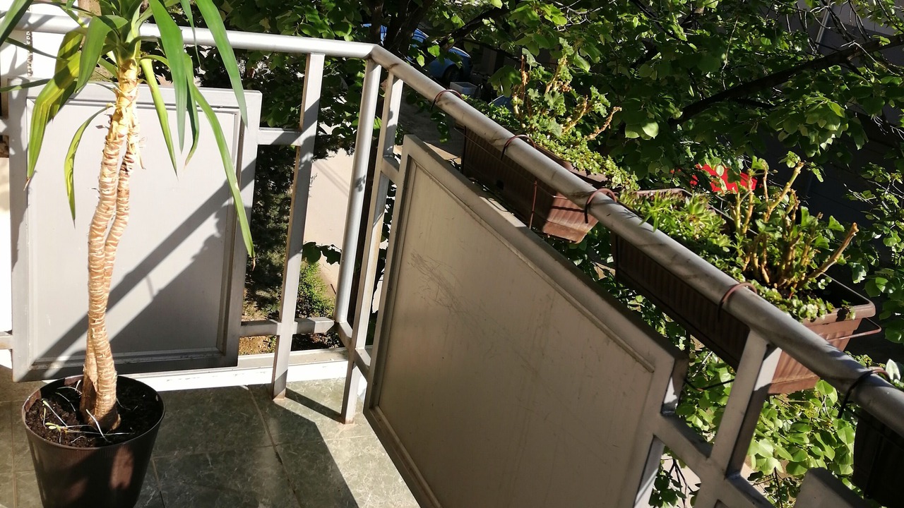 Photo of Outdoor in Sremski Karlovci
