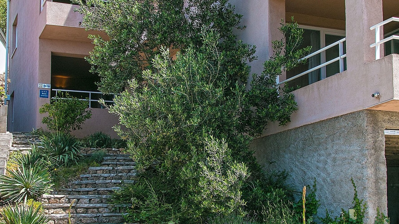 Photo of Outdoor in Brela