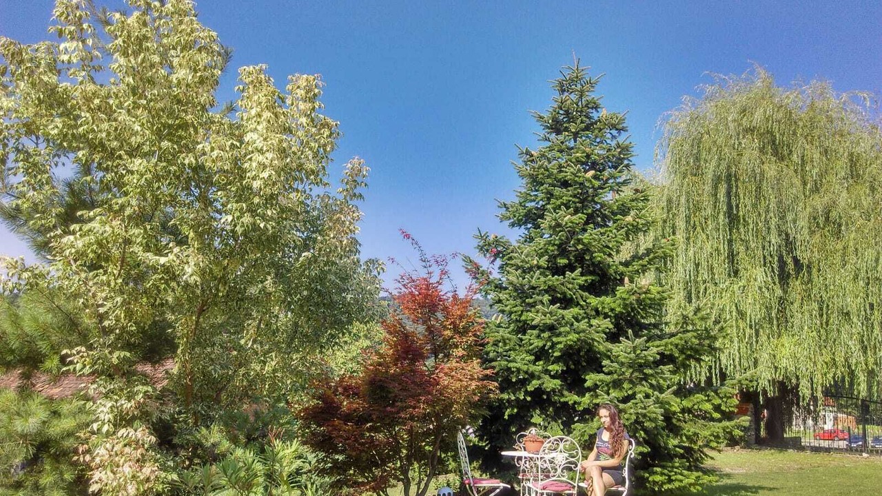 Photo of Outdoor in Varazdinske Toplice