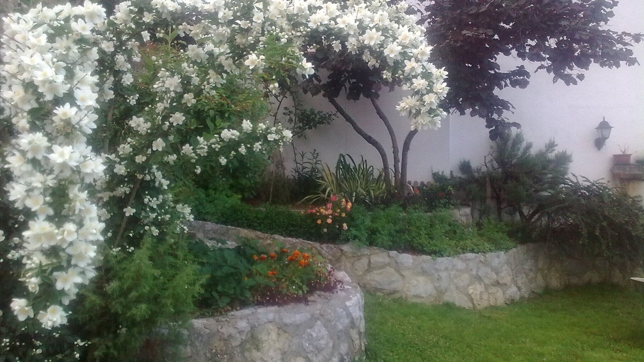 Photo of Outdoor in Varazdinske Toplice