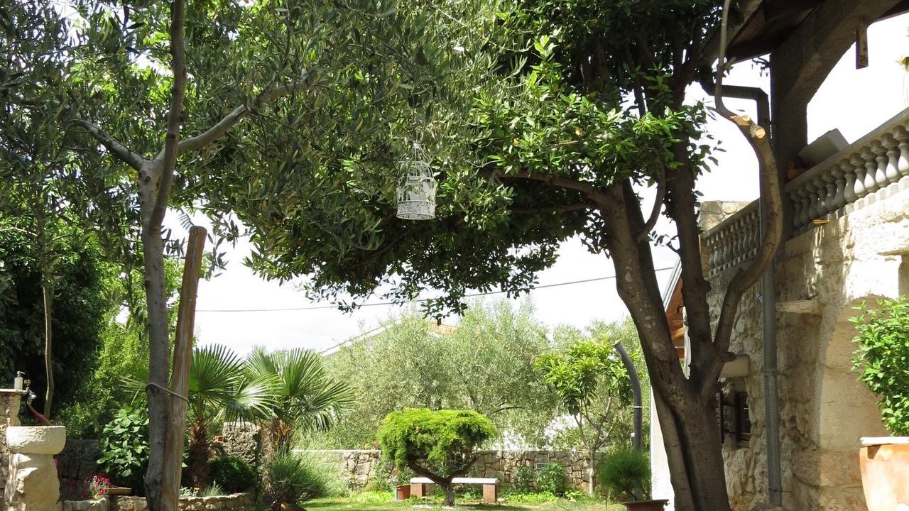 Photo of Outdoor in Polje
