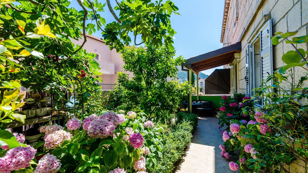 Photo of Outdoor in Dubrovnik