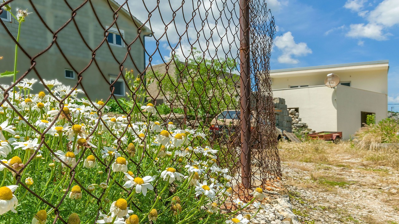 Photo of Outdoor in Omis