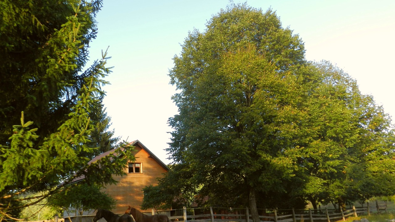 Photo of Outdoor in Plaski