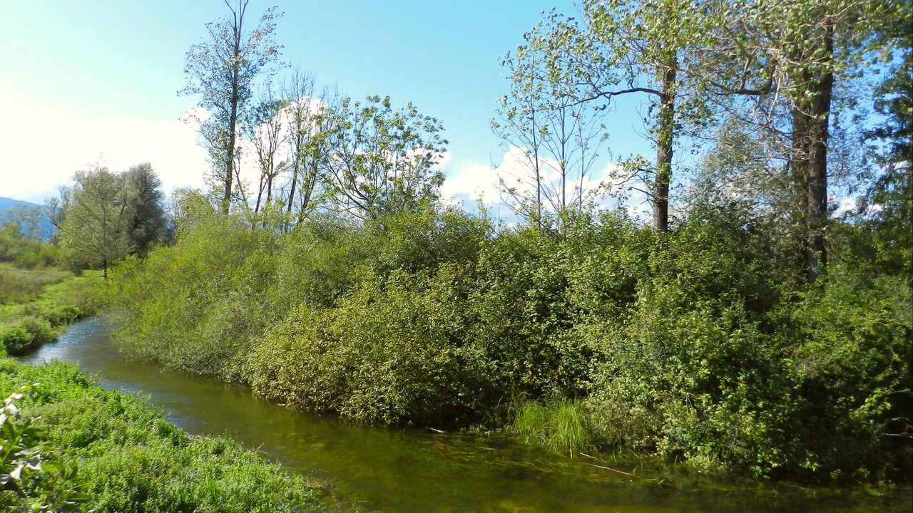 Photo of Outdoor in Plaski