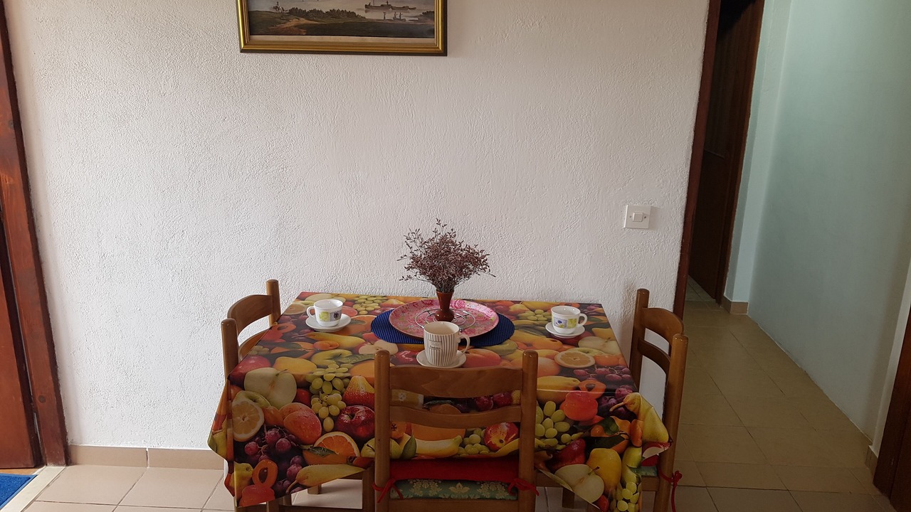 Photo of Others in Island Dugi Otok