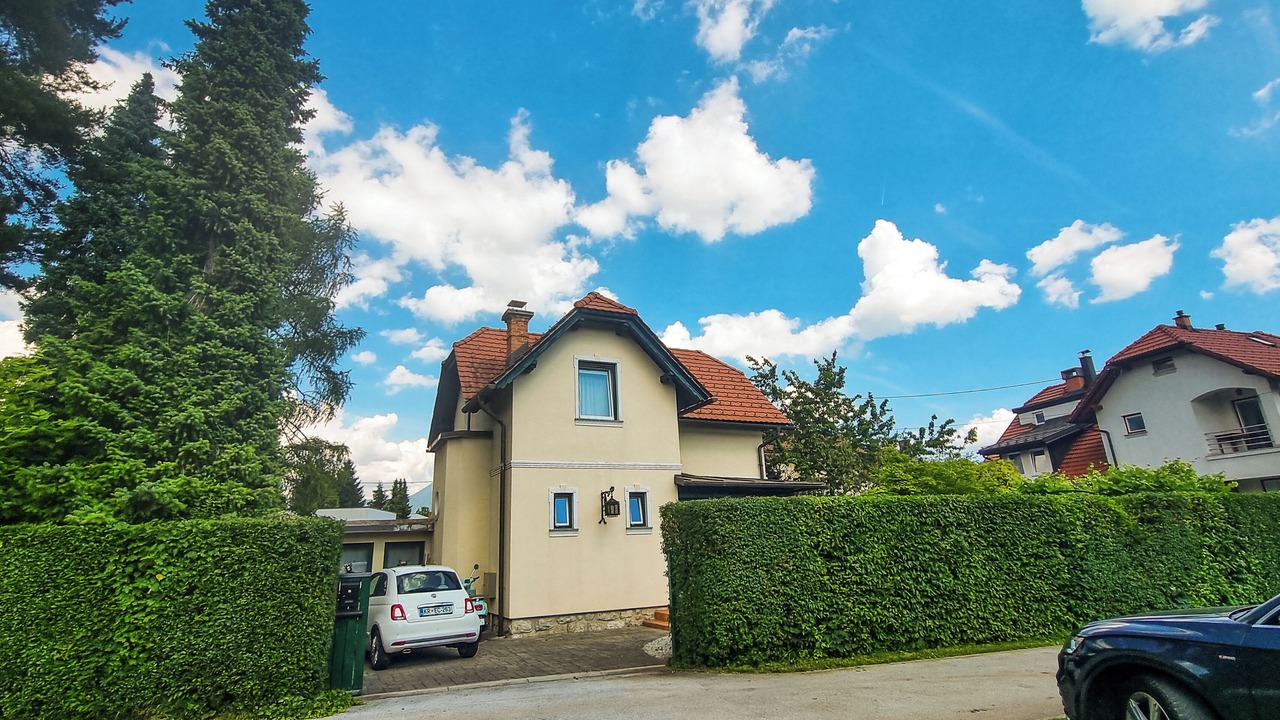 Photo of Outdoor in Bled