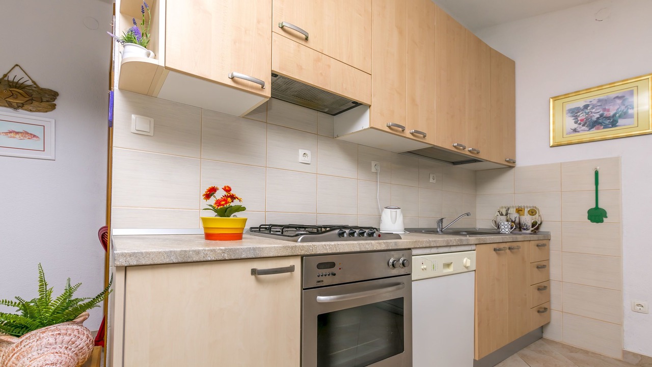 Photo of Kitchen in Dvornica