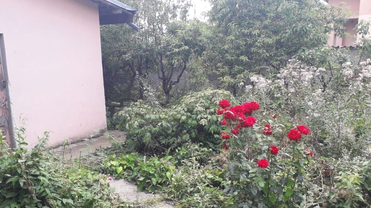 Photo of Outdoor in Domnesti
