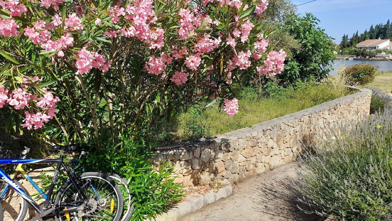 Photo of Outdoor in Lukoran