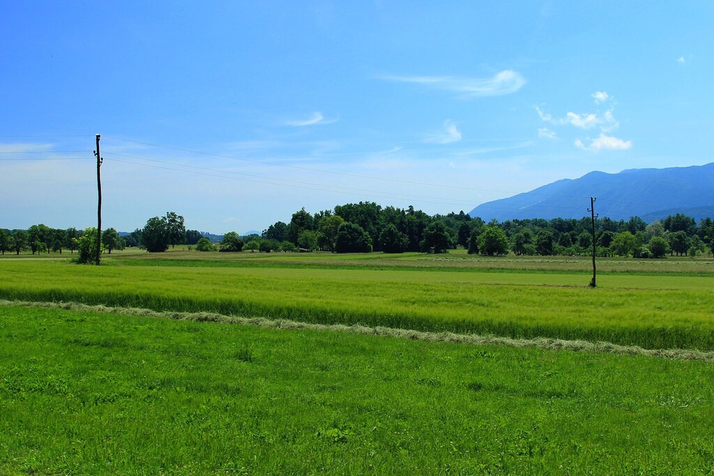 Photo of Others in Bled