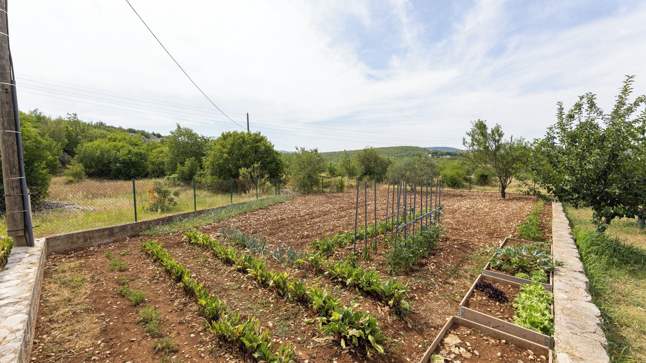 Photo of Outdoor in Lecevica