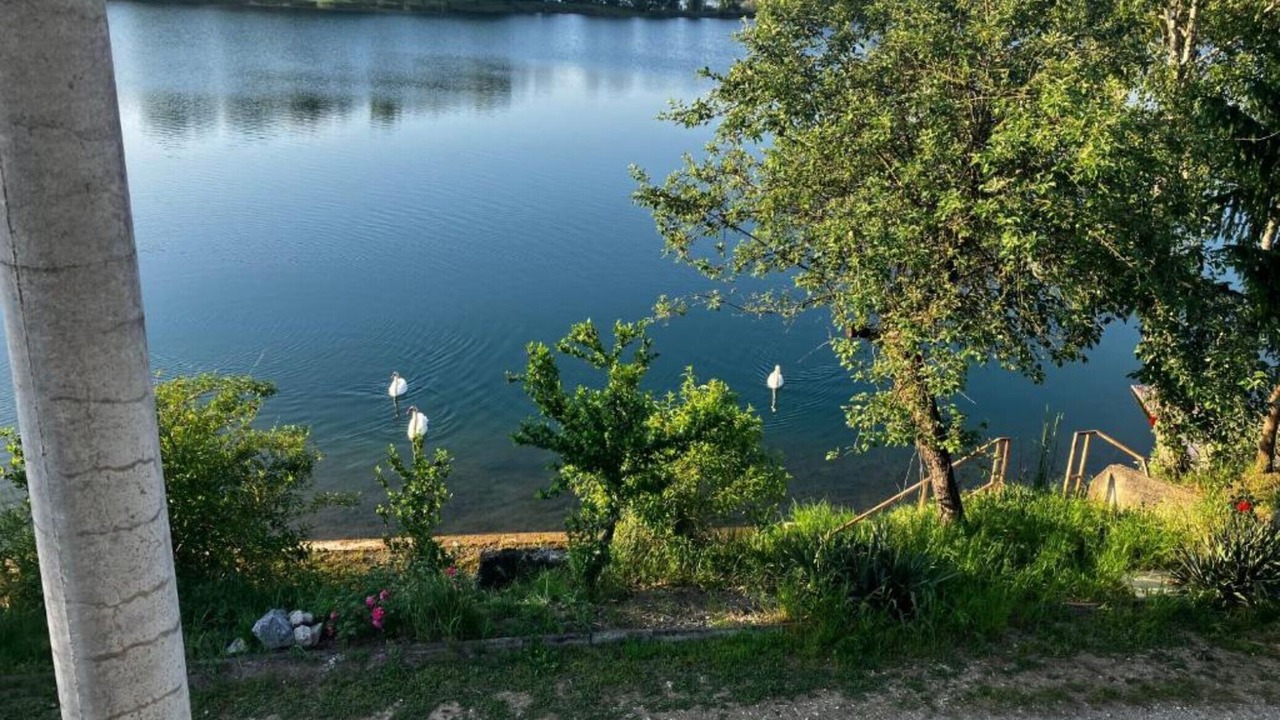 Photo of Outdoor in Molve