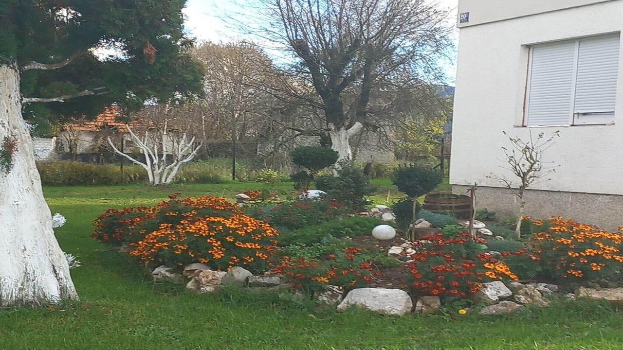 Photo of Outdoor in Municipality of Plaski