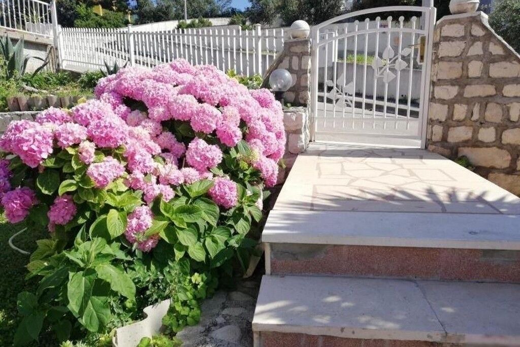 Photo of Outdoor in Okrug Donji