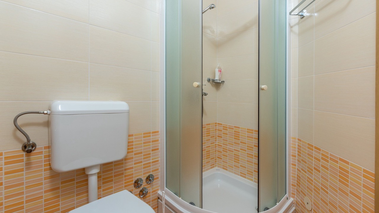 Photo of Bathroom in Boljevici