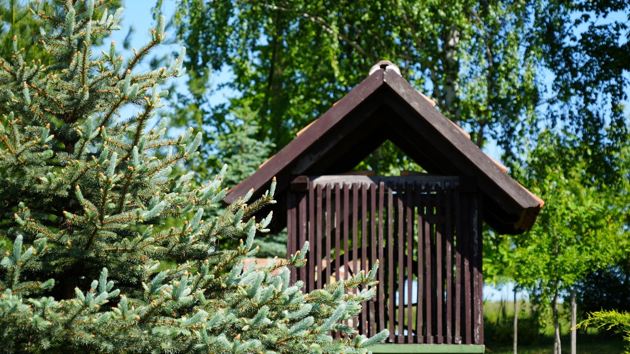 Photo of Outdoor in Cazma