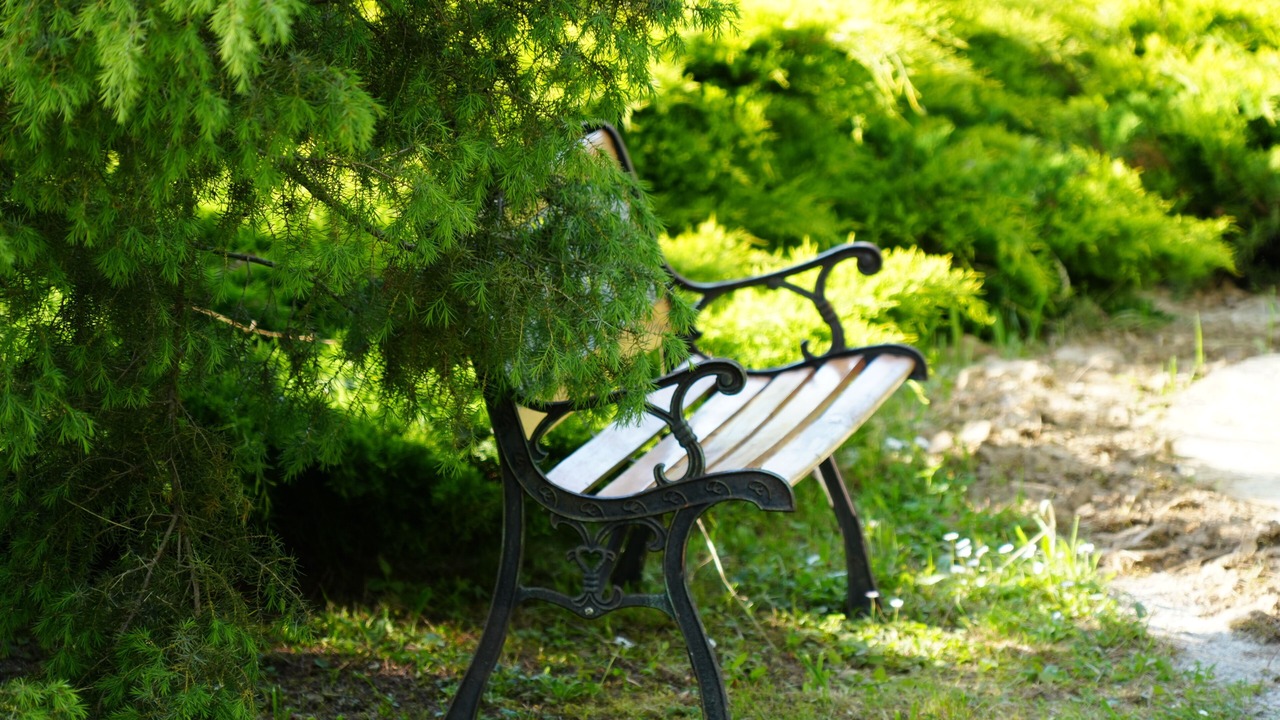 Photo of Outdoor in Cazma