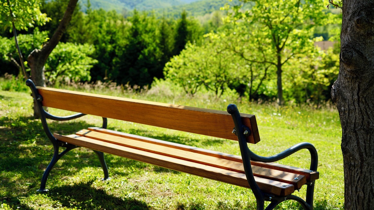 Photo of Outdoor in Cazma