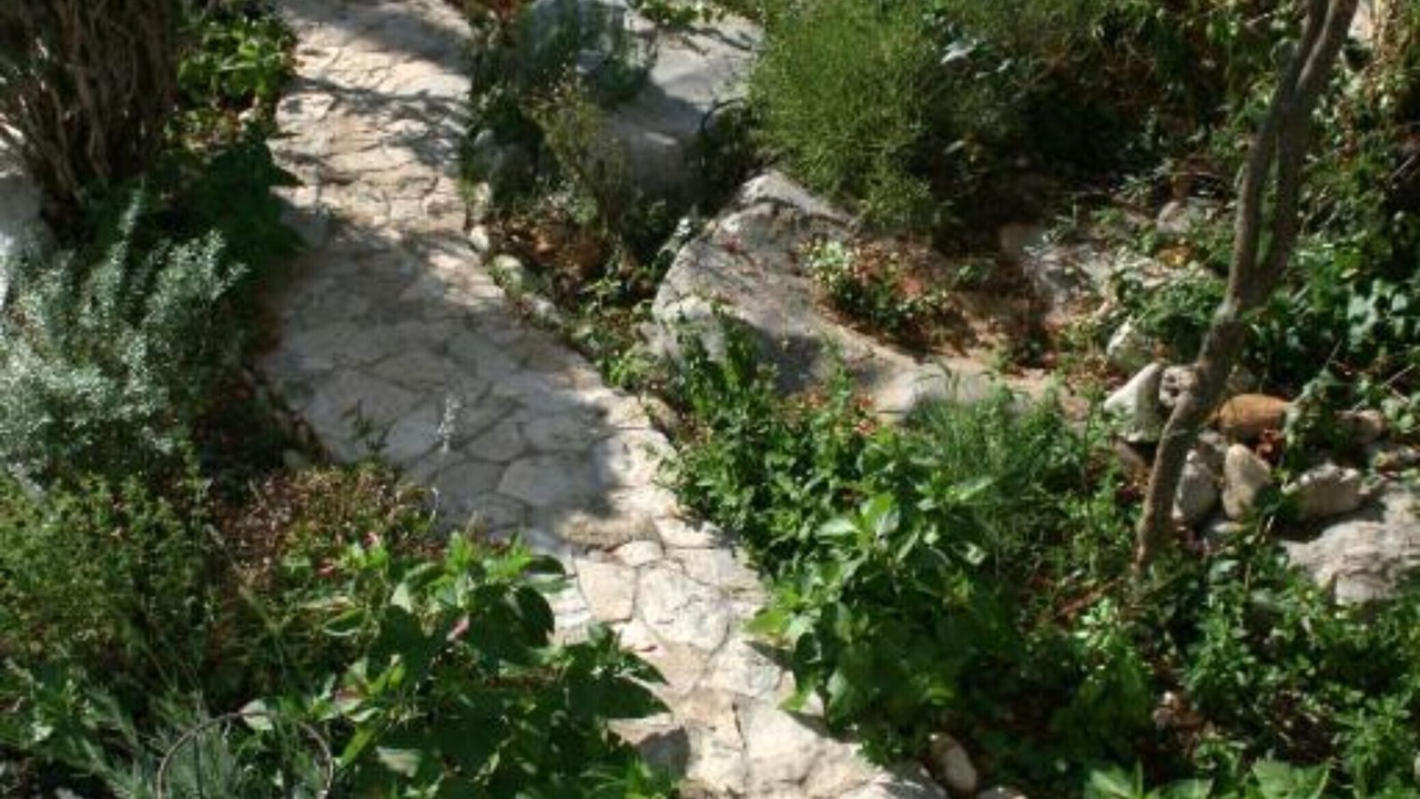 Photo of Outdoor in Kaprije