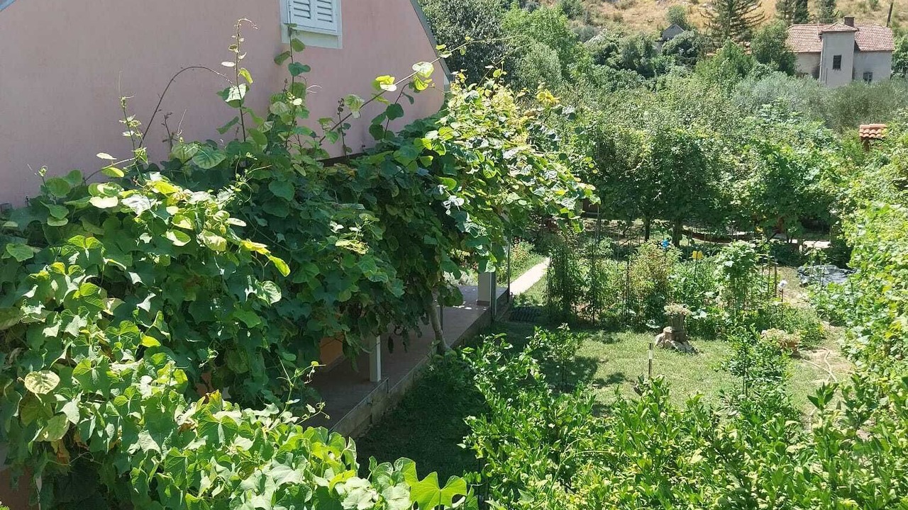 Photo of Outdoor in Zrnovnica