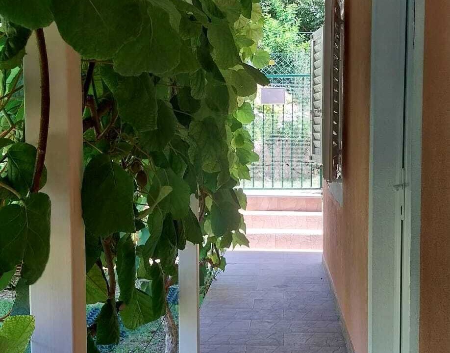 Photo of Outdoor in Zrnovnica