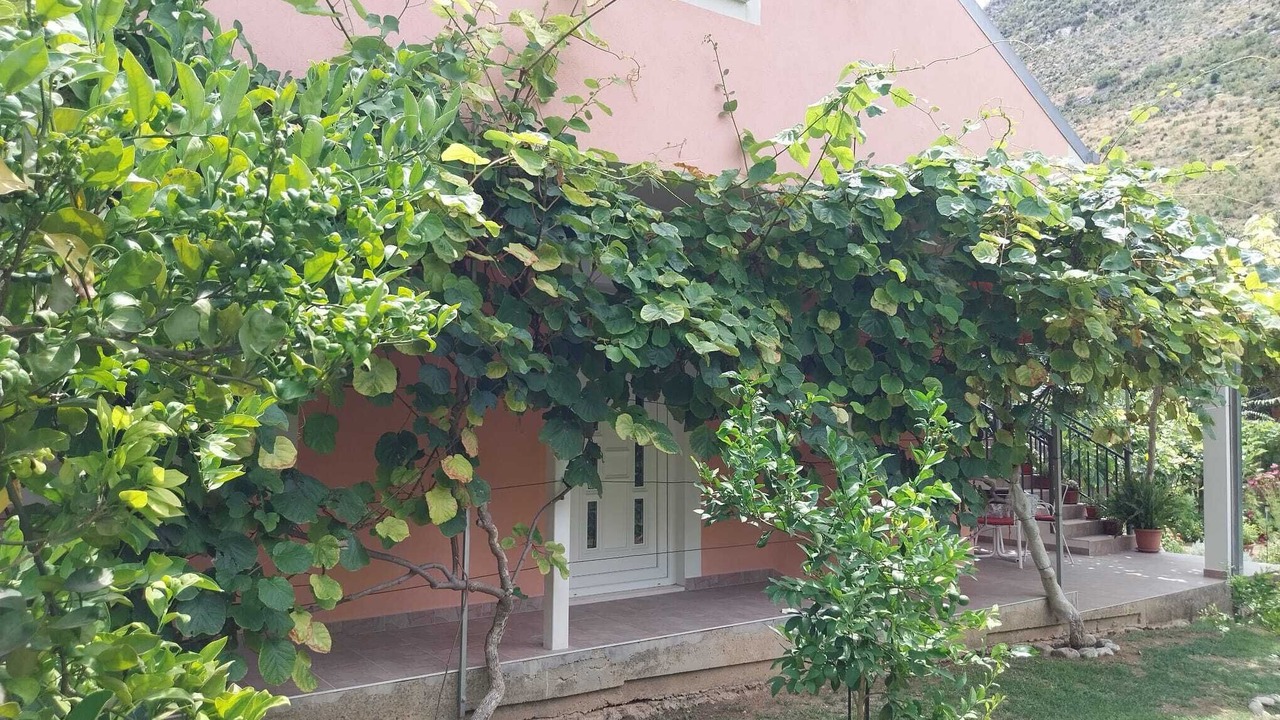 Photo of Outdoor in Zrnovnica