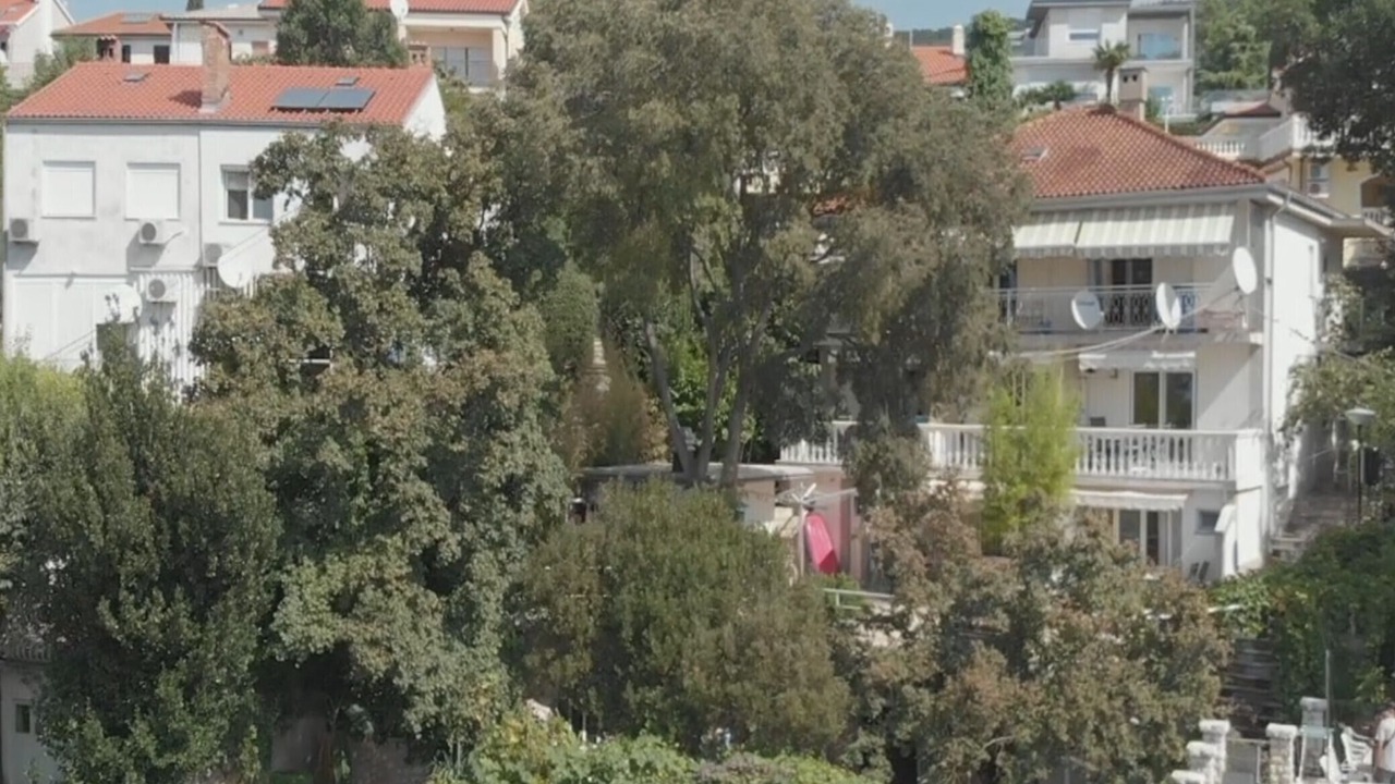 Photo of Outdoor in Zurkovo