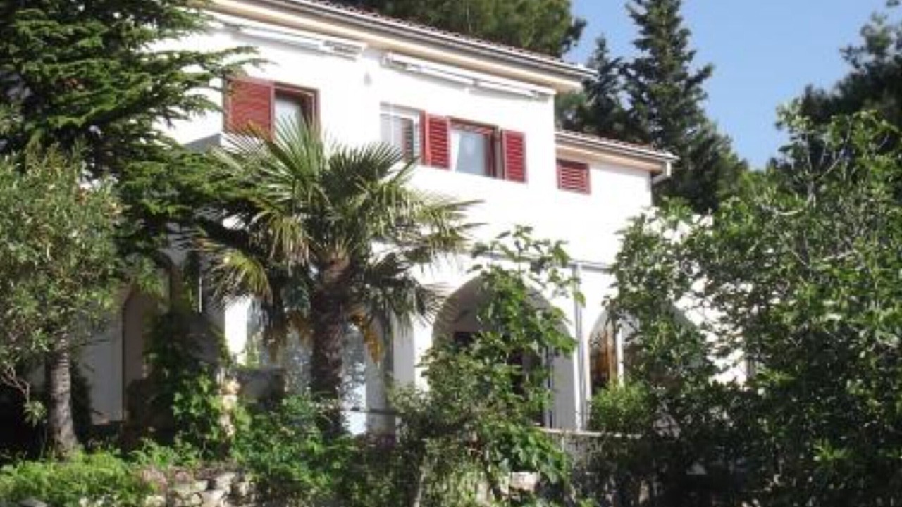 Photo of Outdoor in Prvic Luka