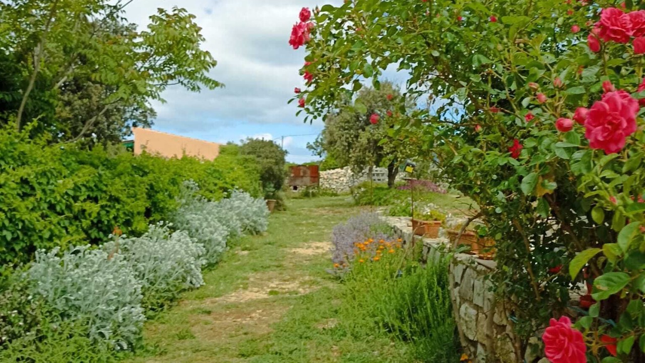 Photo of Outdoor in Veli Losinj