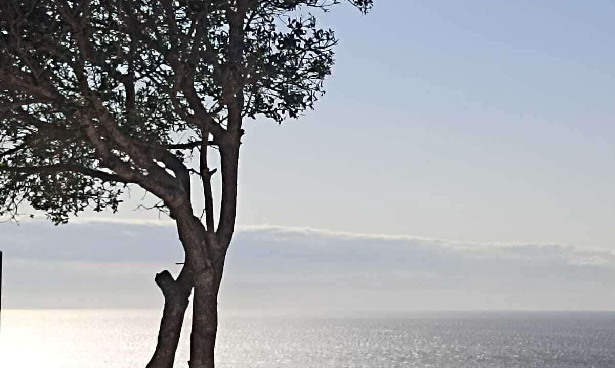 Photo of Others in Veli Losinj