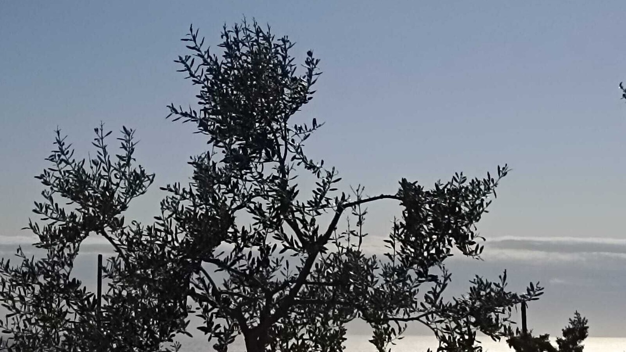 Photo of Others in Veli Losinj