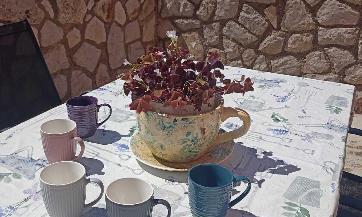 Photo of Outdoor in Veli Losinj