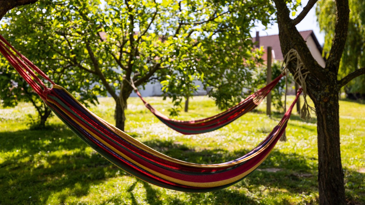 Photo of Outdoor in Drenje