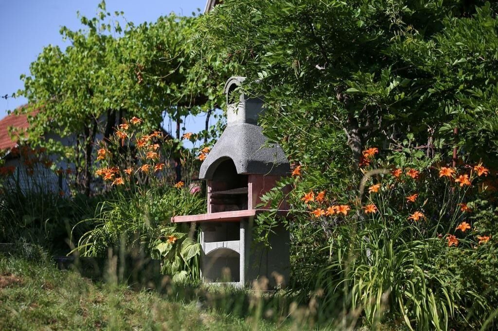 Photo of Outdoor in Velika Gorica