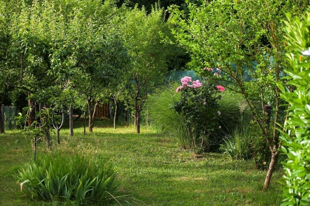 Photo of Outdoor in Velika Gorica