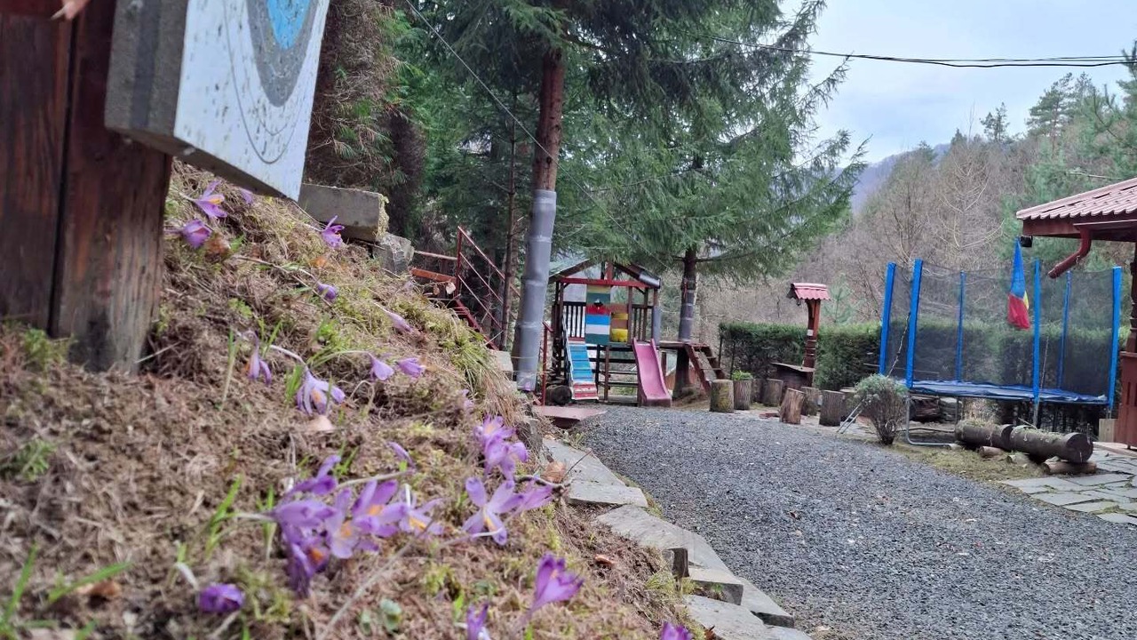 Photo of Outdoor in Firiza