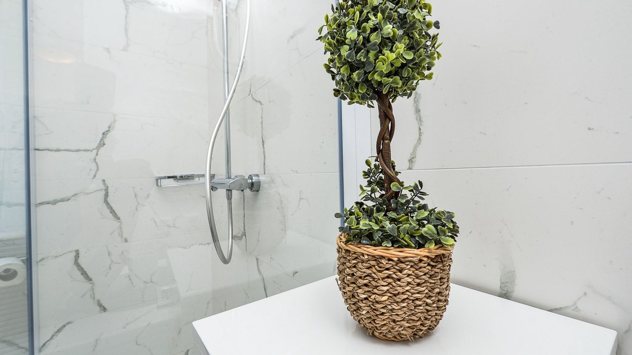 Photo of Bathroom in Dragove