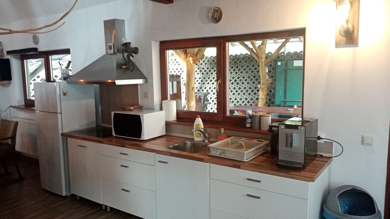 Photo of Kitchen in Gornesti