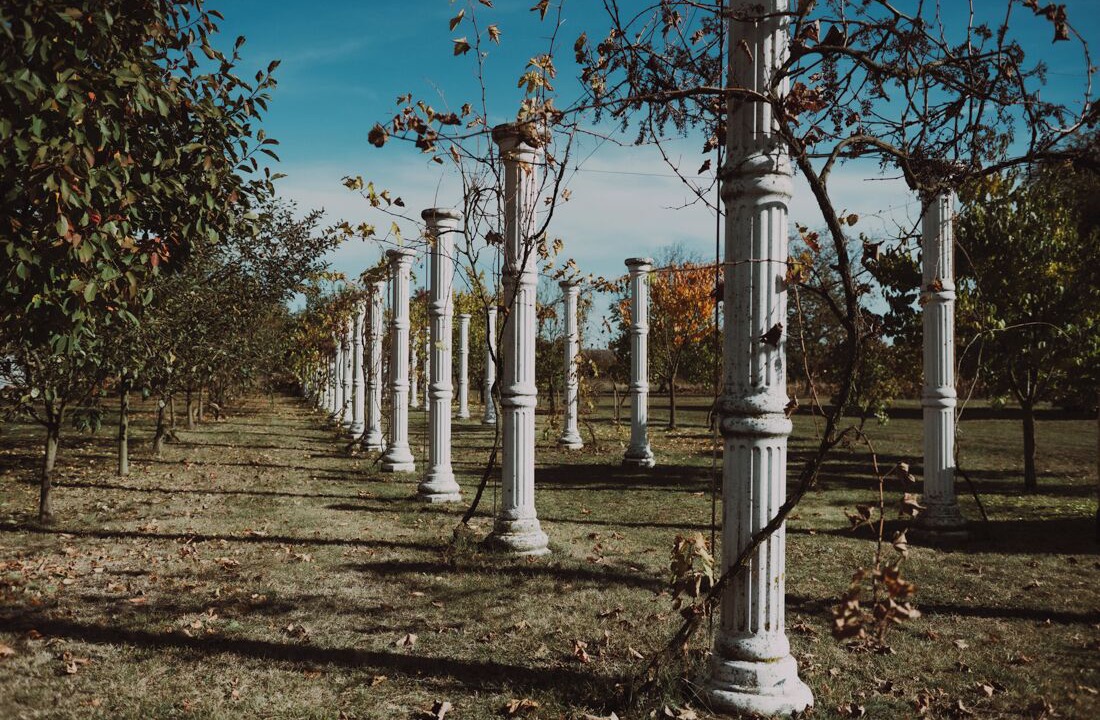 Photo of Outdoor in Donji Miholjac